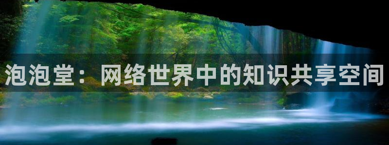 泡泡堂：网络世界中的知识共享空间