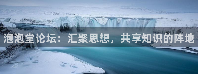 泡泡堂论坛：汇聚思想，共享知识的阵地