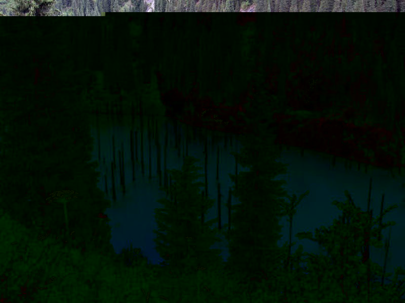 8个与众不同的森林，像来自外星球--置顶表情